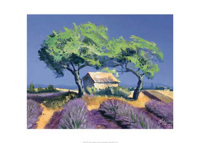 Chekirov, Talantbek - Kunstdruck - Bei Orange