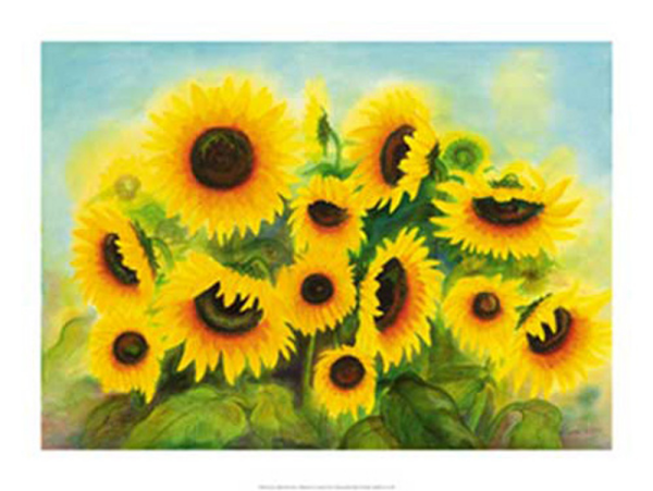Lind, Werner - Kunstdruck - Blumen der Sonne