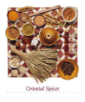 Tilk, Andrea - Kunstdruck - Oriental Spices