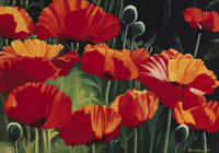 Christian - Kunstdruck - Curious Poppies