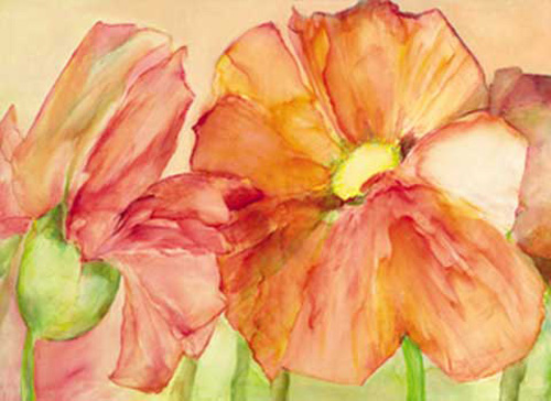 Reichert, Katharina - Kunstdruck - Irish Poppies