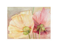 Reichert, Katharina - Kunstdruck - Behind The Poppies