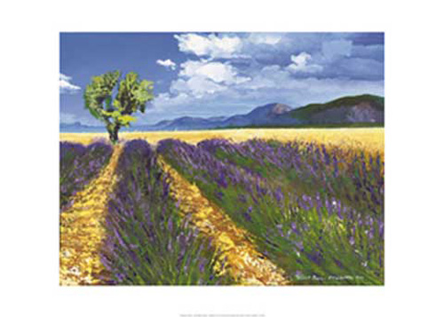 Chekirov, Talantbek - Kunstdruck - Lavendelfeld mit Baum