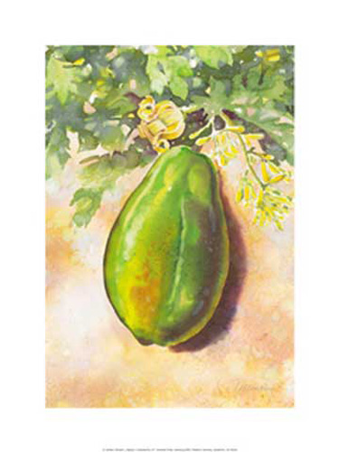 Tillmann, Günter - Kunstdruck - Papaya