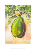 Tillmann, Günter - Kunstdruck - Papaya