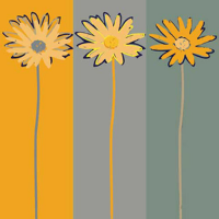 Neer, Rod - Kunstdruck - Marguerite On Stripes