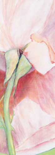 Reichert, Katharina - Kunstdruck - Vertical Roses I