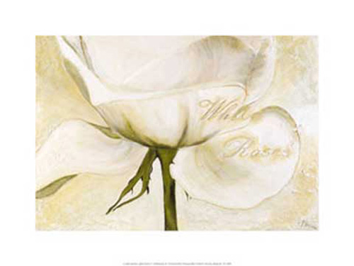Gerstner, Heidi - Kunstdruck - White Roses II