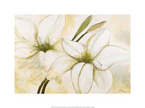 Gerstner, Heidi - Kunstdruck - White Lilies