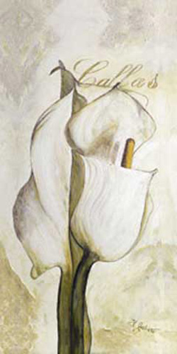 Gerstner, Heidi - Kunstdruck - Standing Calla