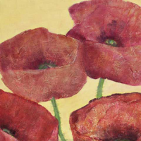Reichert, Katharina - Kunstdruck - Squared Poppies I