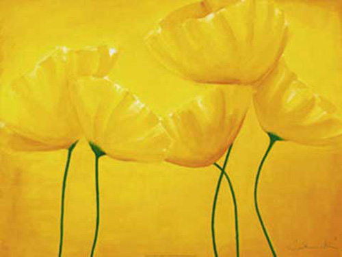 Kaminski, Sonja - Kunstdruck - More Colours