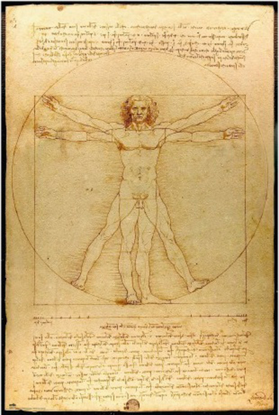 Leonardo da Vinci - Kunstdruck - Hombre de Vitruvio
