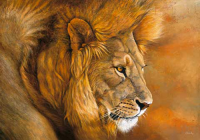 Beck, Danielle - Kunstdruck - Lion du Serengeti