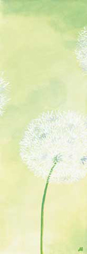 Mannheims, Sabine - Kunstdruck - Zartheit der Pusteblume II