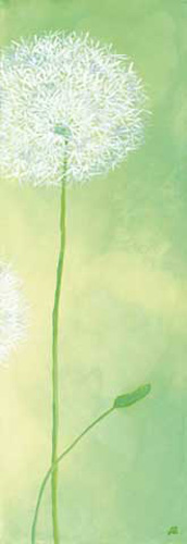 Mannheims, Sabine - Kunstdruck - Zartheit der Pusteblume III