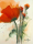 Marthe - Kunstdruck - Mohnblumenstrauß I