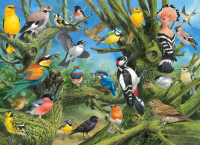 1000 Teile Puzzle Bunte Vogelwelt