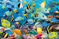 1000 Teile Puzzle Puzzle Farbenprächtige Fische im Ozean