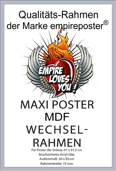 Rahmen Maxi 61x91,5 cm - Wechselrahmen - Profil: 30mm MDF silber