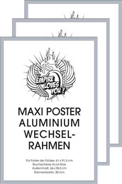 ALU Rahmen für 61x91,5 cm  - Wechselrahmen - 3er-Set 3 cm Aluminium silber