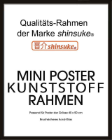 Rahmen Miniposter 40x50 cm - Wechselrahmen - 15mm...