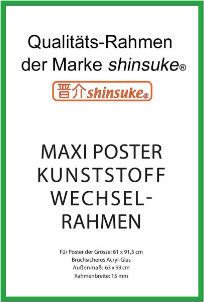 Rahmen Maxi 61x91,5 cm - Wechselrahmen - Kunststoff Grün