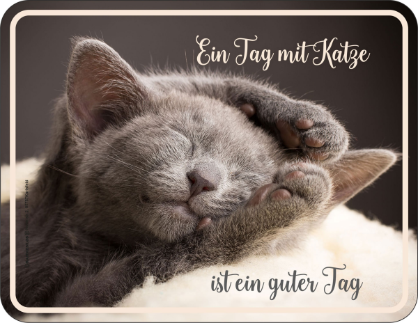 Katze - Fun-Schilder - guter Tag