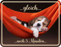 Hunde - Fun-Schilder - Welpe gleich ...