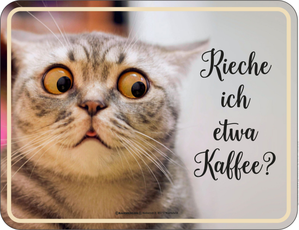 Katze - Fun-Schilder - rieche ich Kaffee?