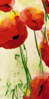 Reil, Heidi - Kunstdruck - Klatschmohn