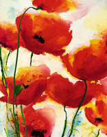 Reil, Heidi - Kunstdruck - Roter Mohn