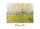 Van Gogh, Vincent - Kunstdruck - The Orchard