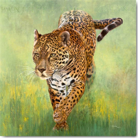 Beck, Danielle - Kunstdruck - Kalina, le Jaguar