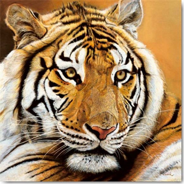 Beck, Danielle - Kunstdruck - Portrait d`Aliba