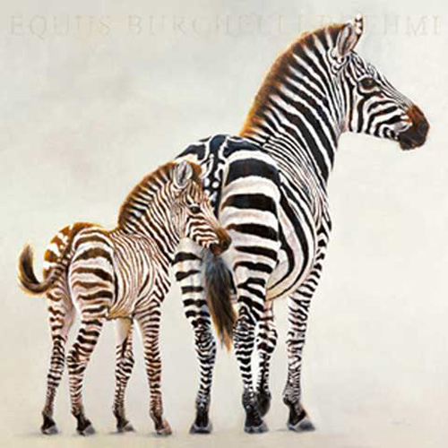 Beck, Danielle - Kunstdruck - Zèbre et son petit de Ndutu