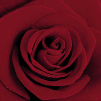 Tilk, Andrea - Kunstdruck - Grand Prix (red)