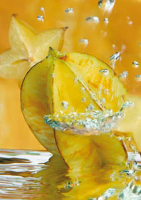 Meisen, Michael - Kunstdruck - Sternfrucht