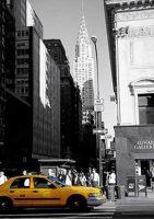 Reis, Thomas - Kunstdruck - 5th