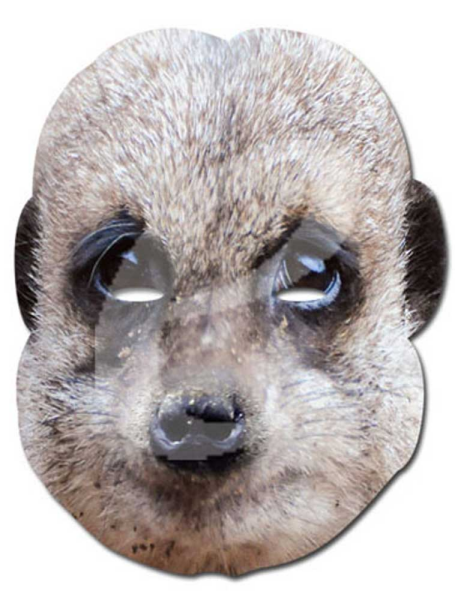 Erdmännchen - Masken - Promi Maske