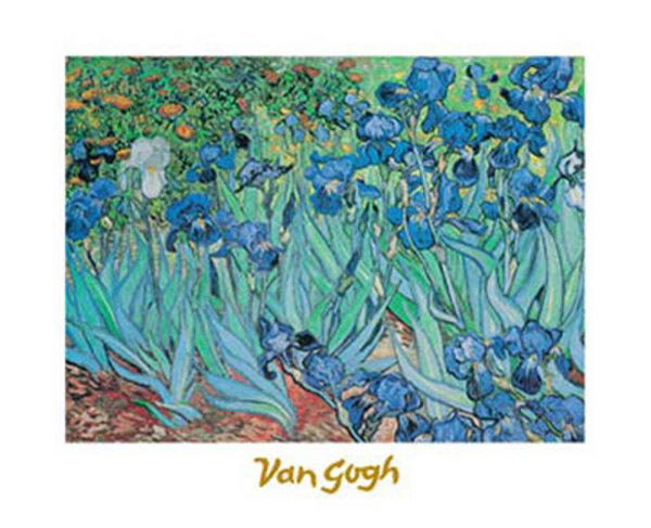 Van Gogh, Vincent - Kunstdruck - Iris