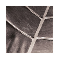 Canales - Kunstdruck - Particular