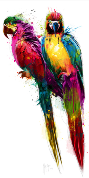 Murciano, Patrice - Kunstdruck - Tropical Colors II