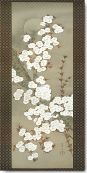 Shuran, Yoshida - Kunstdruck - Cherry Blossoms