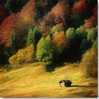 Steger, Uwe - Kunstdruck - Nature Art Color II