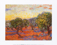 Van Gogh, Vincent - Kunstdruck - Uliveto
