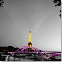 Valverde, Anne - Kunstdruck - Shiny Eiffel