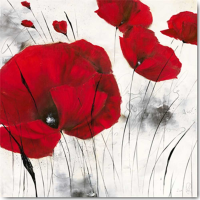 Zacher-Finet, Isabelle - Kunstdruck - Pavot d´hiver VI