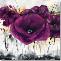 Zacher-Finet, Isabelle - Kunstdruck - Pavot violet III