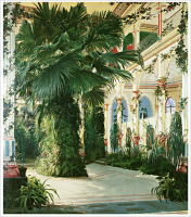 Blechen, Karl - Kunstdruck - Interior of a Palm House